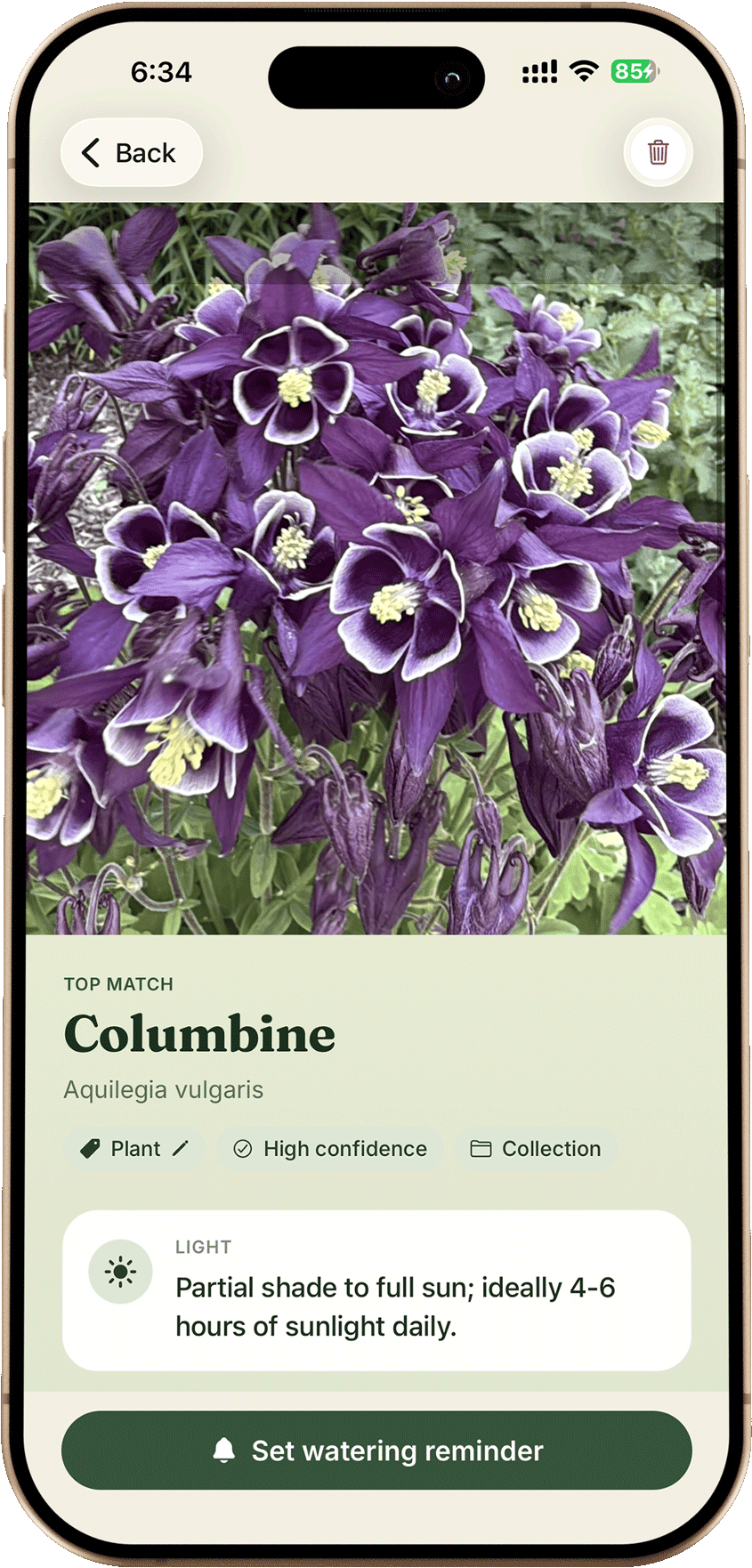 Identification result showing Columbine, Aquilegia vulgaris